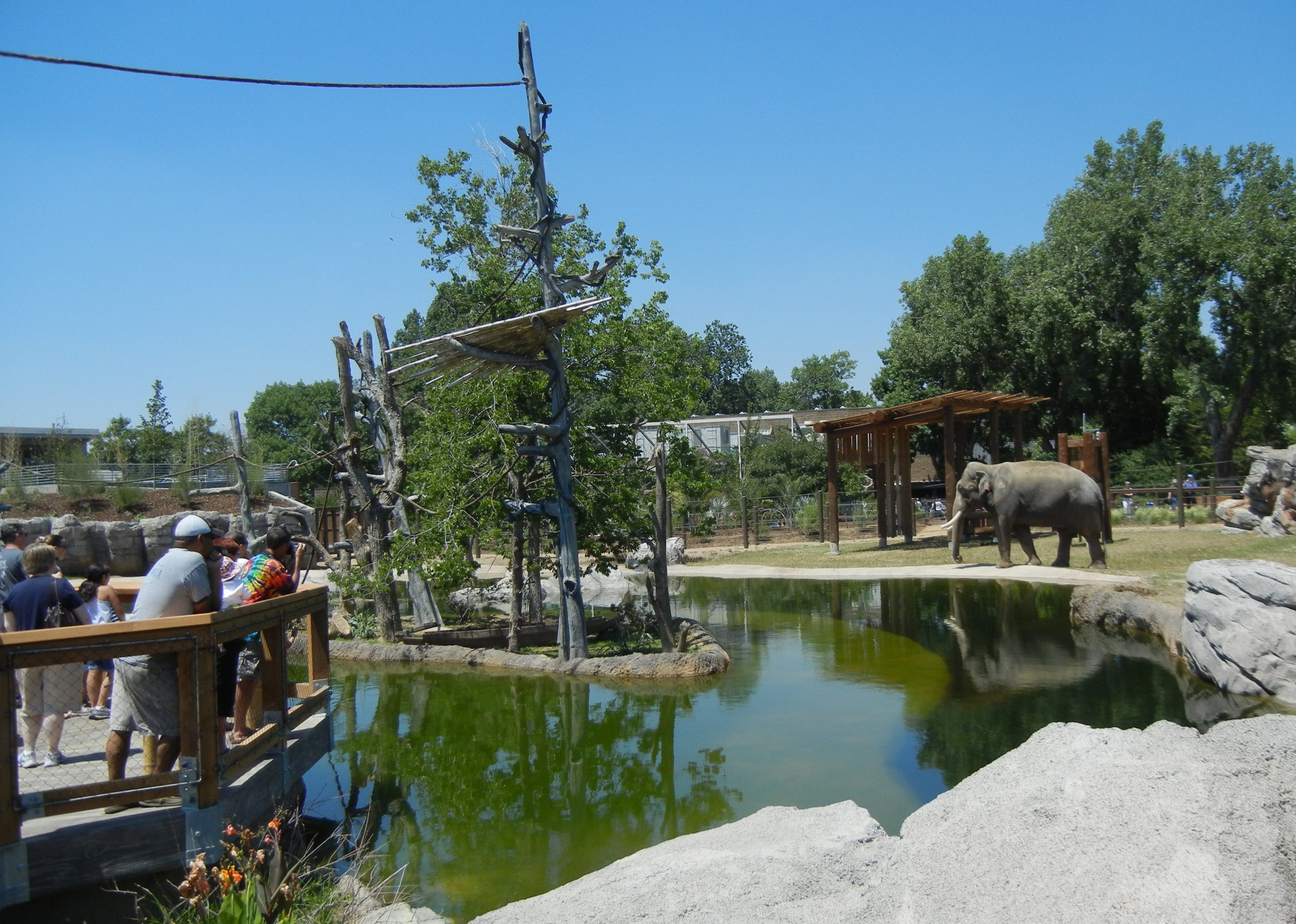 Denver Zoo – Asian Tropics